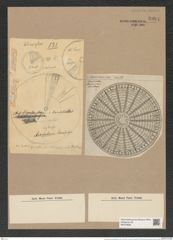 Arachnodiscus ehrenbergii Bail. et Ehr. (de-Toni-Nr.: Genus 204, Species 5210) Zeichnungen Sammlung Grunow Nr. 8994 (NHMW-BOT-W0378695)